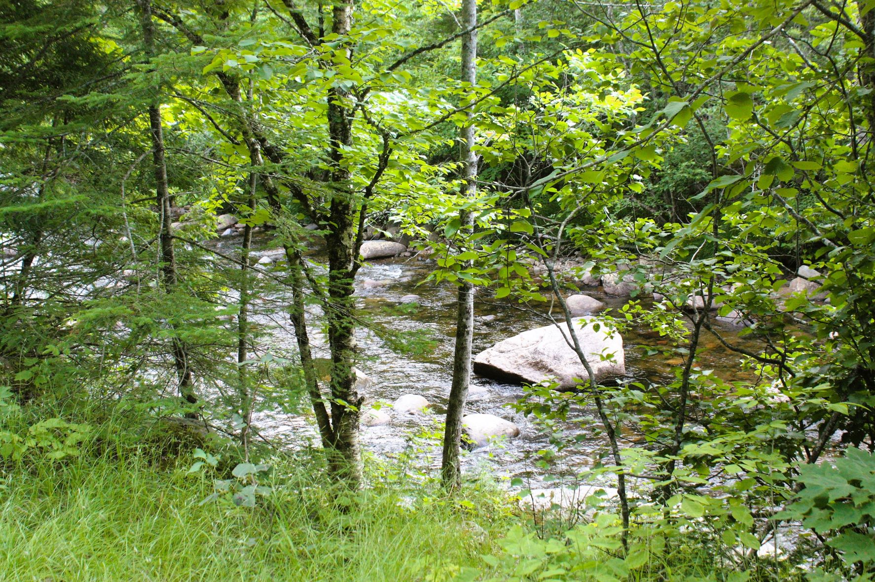 nash stream new hampshire